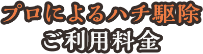 専用薬剤で徹底駆除